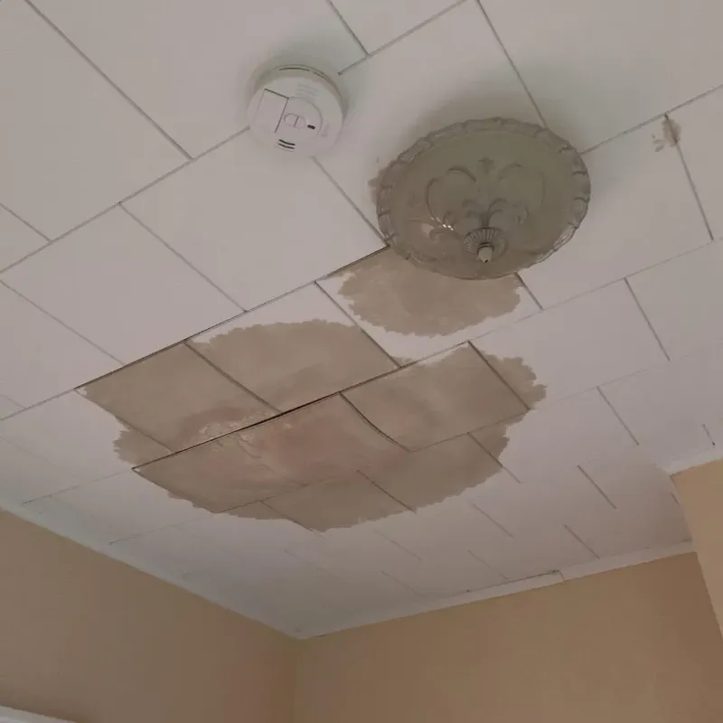 Ceiling Water Damage Repair in Austin, AR