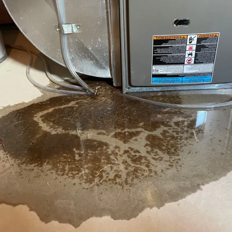 Pipe Burst and Leak Restoration in Austin, AR
